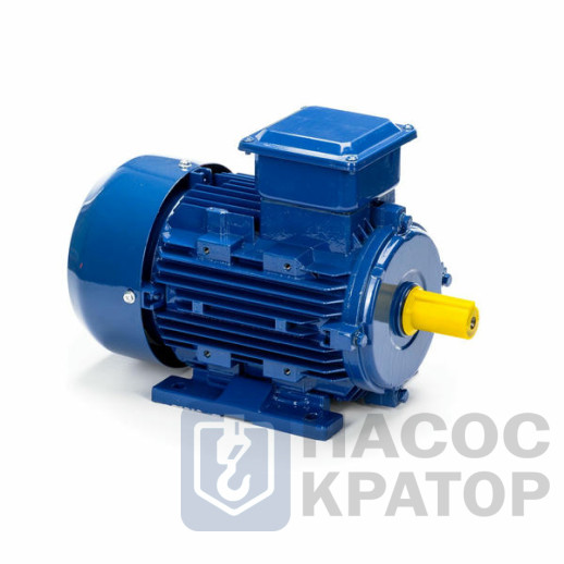 Электродвигатель 5АИ 90 L6 1,5/1000 IM1081