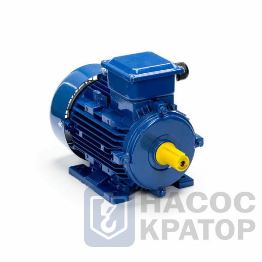Электродвигатель 5АИ 90 L6 1,5/1000 IM1081