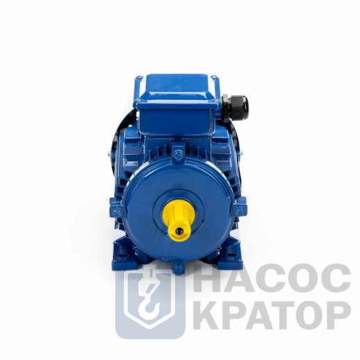 Электродвигатель 5АИ 90 L6 1,5/1000 IM1081