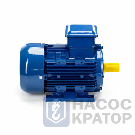 Электродвигатель 5АИ 90 L6 1,5/1000 IM1081
