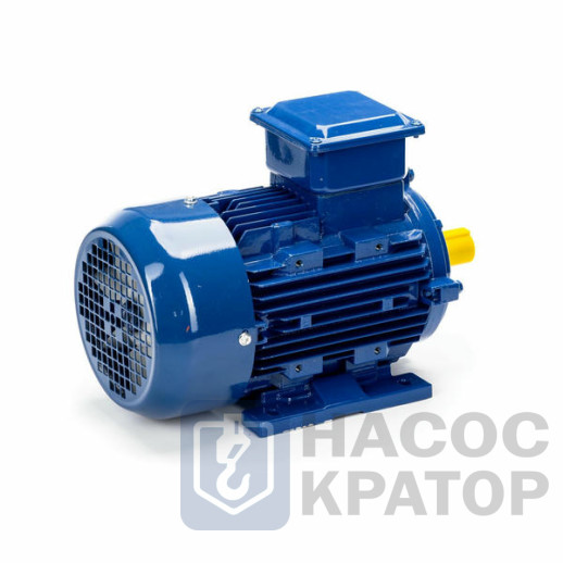 Электродвигатель 5АИ 90 L6 1,5/1000 IM1081