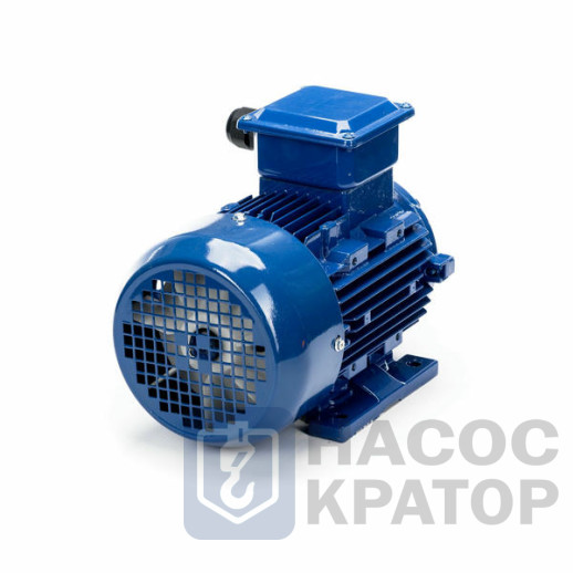 Электродвигатель 5АИ 90 L6 1,5/1000 IM1081