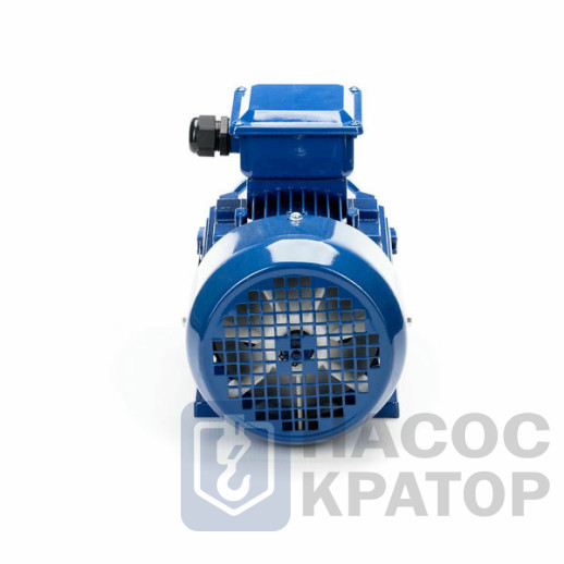 Электродвигатель 5АИ 90 L6 1,5/1000 IM1081