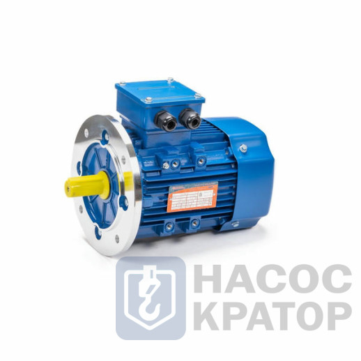 Электродвигатель 5АИ 56 В4 0,18/1500 IM3081