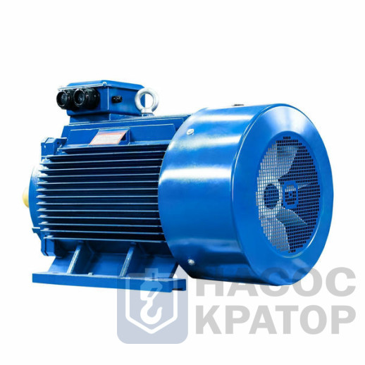 Электродвигатель 5АИ 355 MLB4 400/1500 IM1001