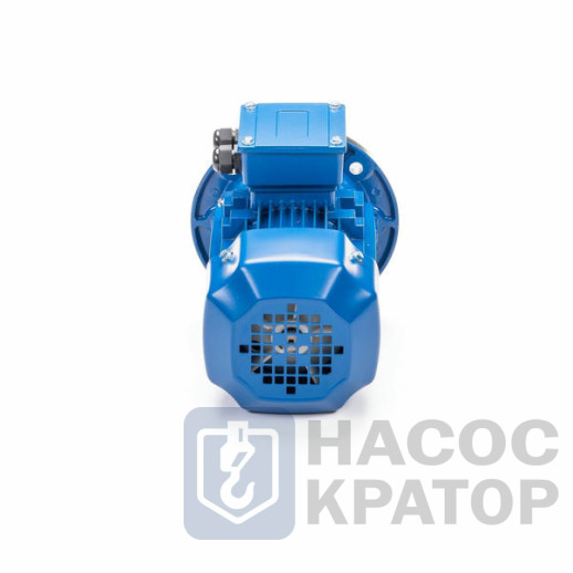 Электродвигатель 5АИ 90 L4 2,2/1500 IM3081