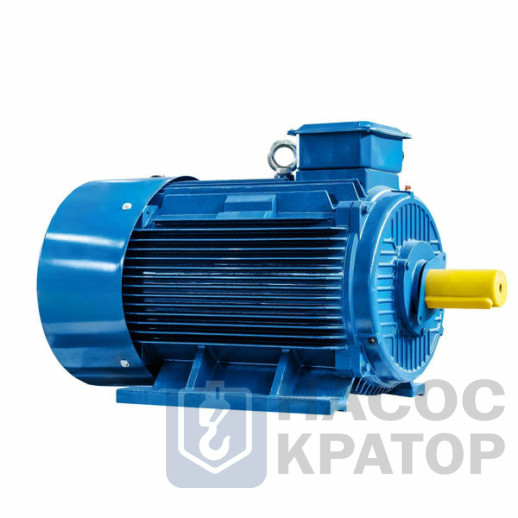 Электродвигатель 5АИ 355 MLA6 250/1000 IM1001