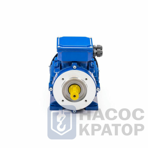 Электродвигатель 5АИ 90 L4 FT115 2,2/1500 IM2181