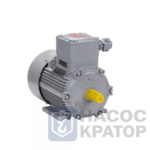 Электродвигатель АИМУ 100 L2 У1, 380В, 1ExdbIIBT4 Gb X, (LP) 5,5/3000 IM1081