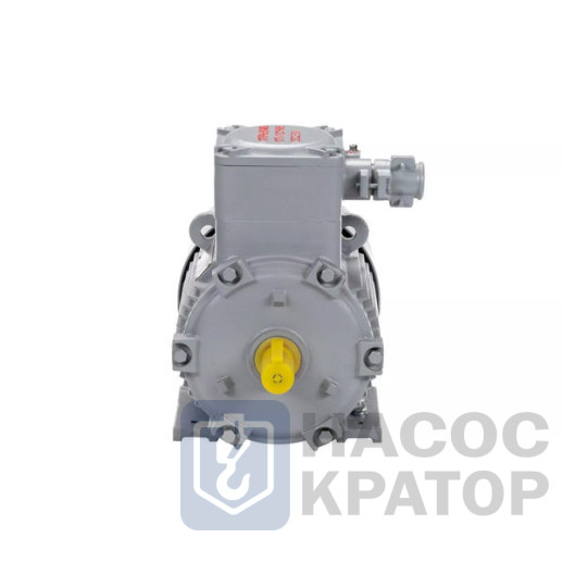 Электродвигатель АИМУ 100 L2 У1, 380В, 1ExdbIIBT4 Gb X, (LP) 5,5/3000 IM1081