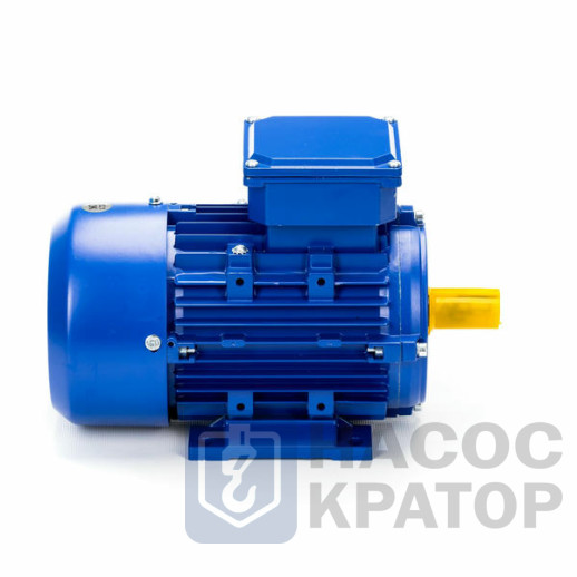 Электродвигатель 5АИ 90 LA8 0,75/750 IM1081