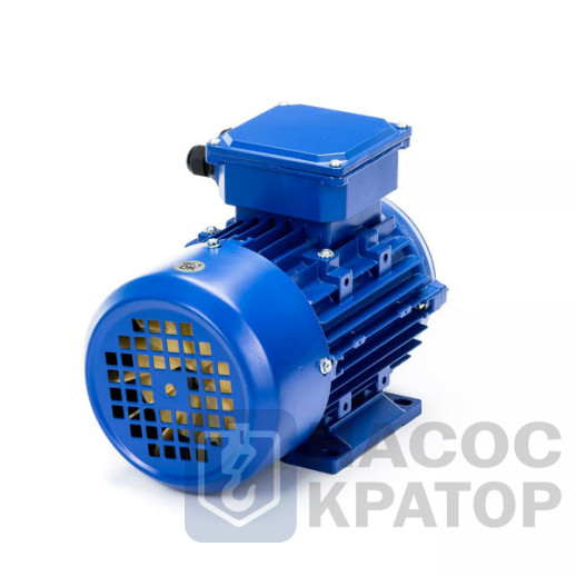 Электродвигатель 5АИ 90 LA8 0,75/750 IM1081