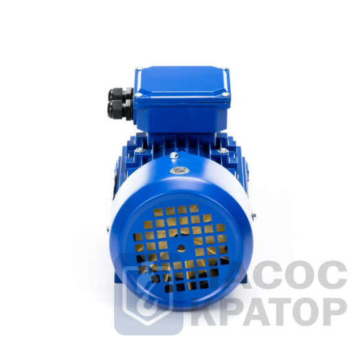 Электродвигатель 5АИ 90 LA8 0,75/750 IM1081