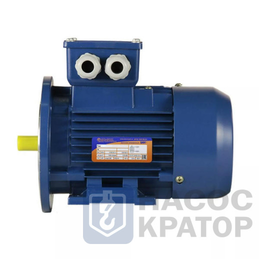 Электродвигатель 5АИ 50 МВ4 0,09/1500 IM2081