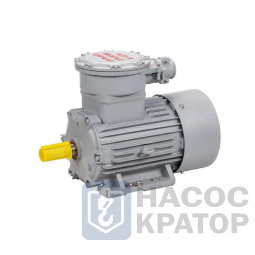 Электродвигатель АИМУР 200 L8 660/1140V, PBExdI Mb, класс изоляции Н, РТС (статор), подшип, SKF, 22/750 IM1001