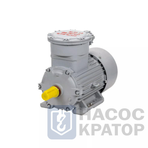 Электродвигатель АИМУР 200 L8 660/1140V, PBExdI Mb, класс изоляции Н, РТС (статор), подшип, SKF, 22/750 IM1001