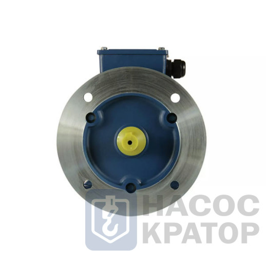 Электродвигатель 5АИ 90 L2 3/3000 IM2081