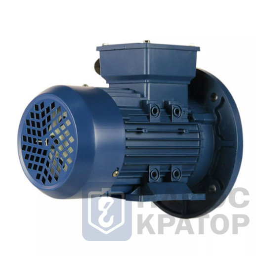 Электродвигатель 5АИ 90 L2 3/3000 IM2081