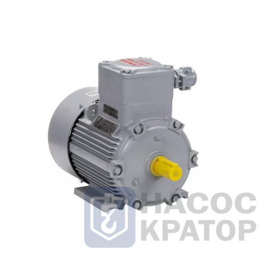 Электродвигатель АИМУ 100 L4 У1, 380В, 1ExdbIIBT4 Gb X, 4/1500 IM1081