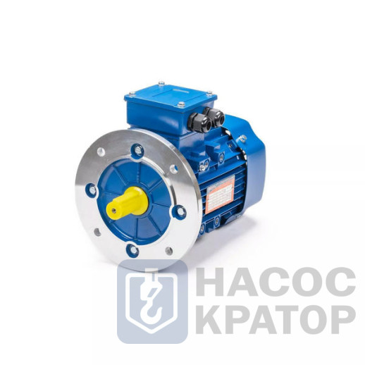 Электродвигатель 5АИ 90 L2 3/3000 IM3081
