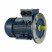 Электродвигатель 5АИ 90 L2 FT115 3/3000 IM2181