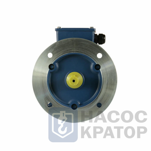 Электродвигатель 5АИ 90 L2 FT115 3/3000 IM2181