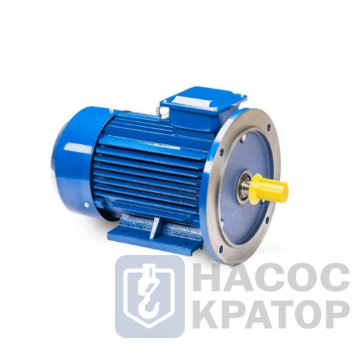 Электродвигатель 5АИ 160 S4 15/1500 IM2001