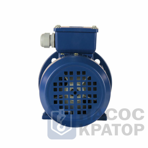 Электродвигатель 5АИ 50 МА4 0,06/1500 IM2081