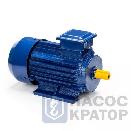 Электродвигатель 5АИ 90 L2 3/3000 IM1081