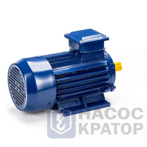 Электродвигатель 5АИ 90 L2 3/3000 IM1081