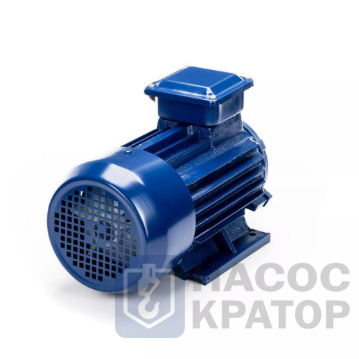 Электродвигатель 5АИ 90 L2 3/3000 IM1081