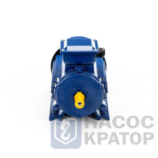 Электродвигатель 5АИ 90 L2 3/3000 IM1081