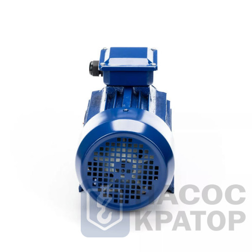 Электродвигатель 5АИ 90 L2 3/3000 IM1081