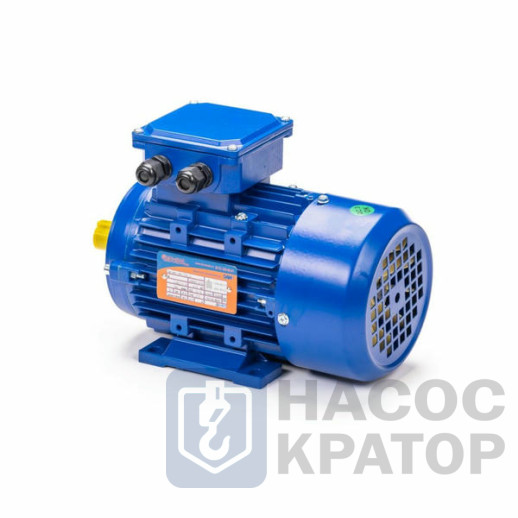 Электродвигатель 5АИ 50 МА4 0,06/1500 IM2181