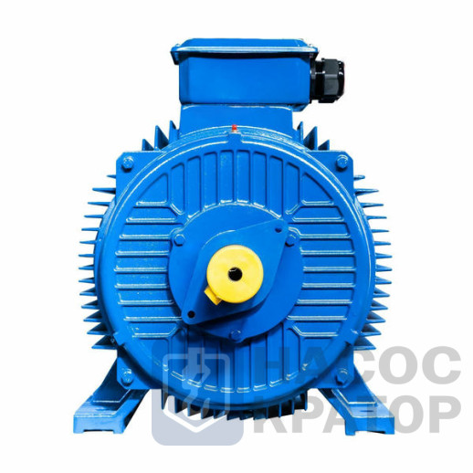 Электродвигатель 5АИ 355 S6 160/1000 IM1001