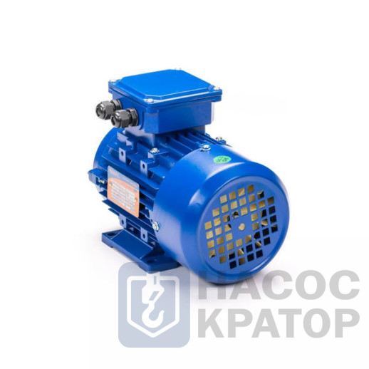 Электродвигатель 5АИ 50 МА2 0,09/3000 IM2181