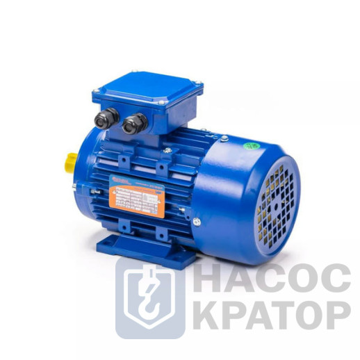Электродвигатель 5АИ 50 МА2 0,09/3000 IM2181