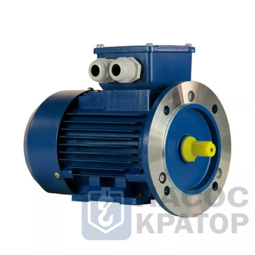 Электродвигатель 5АИ 50 МА2 0,09/3000 IM2081