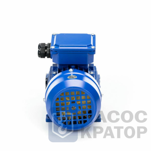 Электродвигатель 5АИ 56 А4 0,12/1500 IM1081