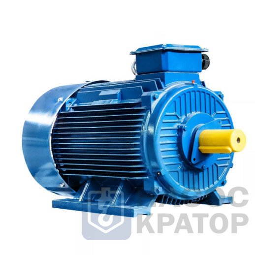 Электродвигатель 5АИ 315 М8 110/750 IM1001
