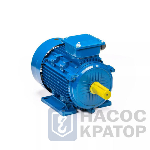 Электродвигатель 5АИ 160 S2 15/3000 IM1001