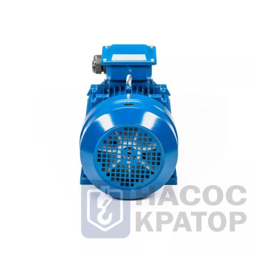 Электродвигатель 5АИ 160 S2 15/3000 IM1001