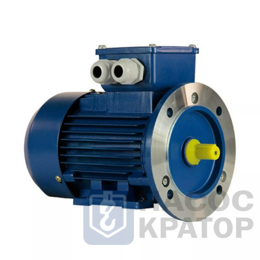 Электродвигатель 5АИ 50 МВ2 0,12/3000 IM2081