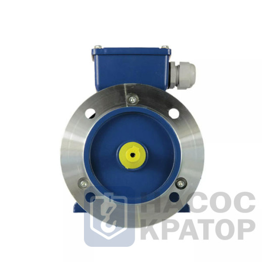 Электродвигатель 5АИ 50 МВ2 0,12/3000 IM2081