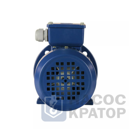 Электродвигатель 5АИ 50 МВ2 0,12/3000 IM2081