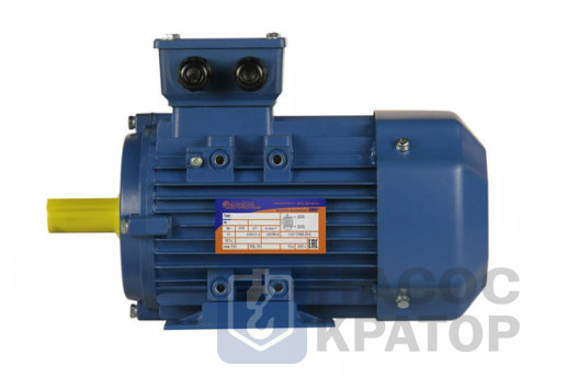 Электродвигатель 5АИ 80 В8 0,55/750 IM1081
