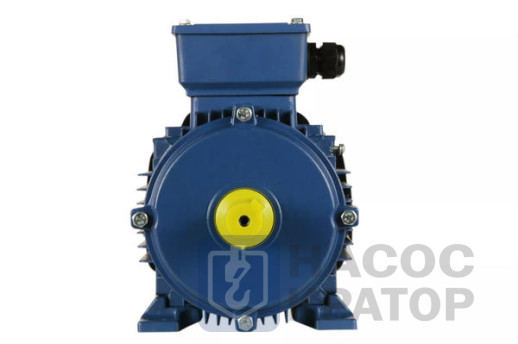 Электродвигатель 5АИ 80 В8 0,55/750 IM1081