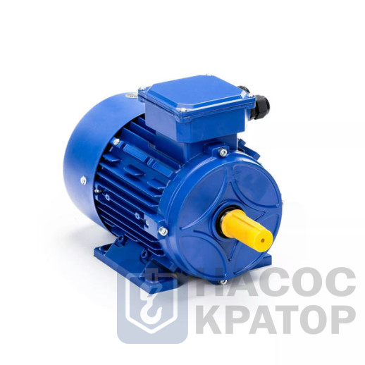 Электродвигатель 5АИ 50 МА4 0,06/1500 IM1081