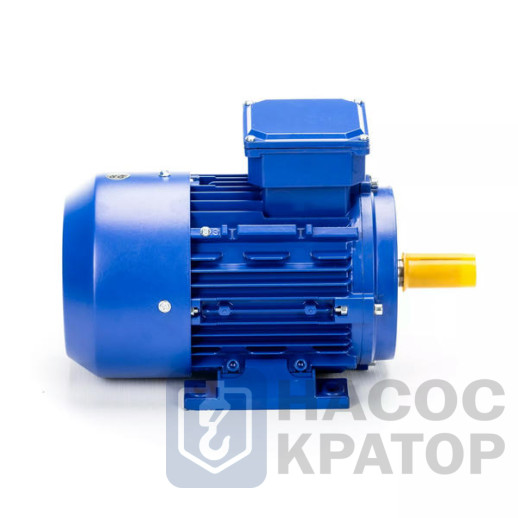 Электродвигатель 5АИ 50 МА4 0,06/1500 IM1081