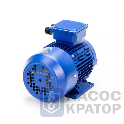 Электродвигатель 5АИ 50 МА4 0,06/1500 IM1081